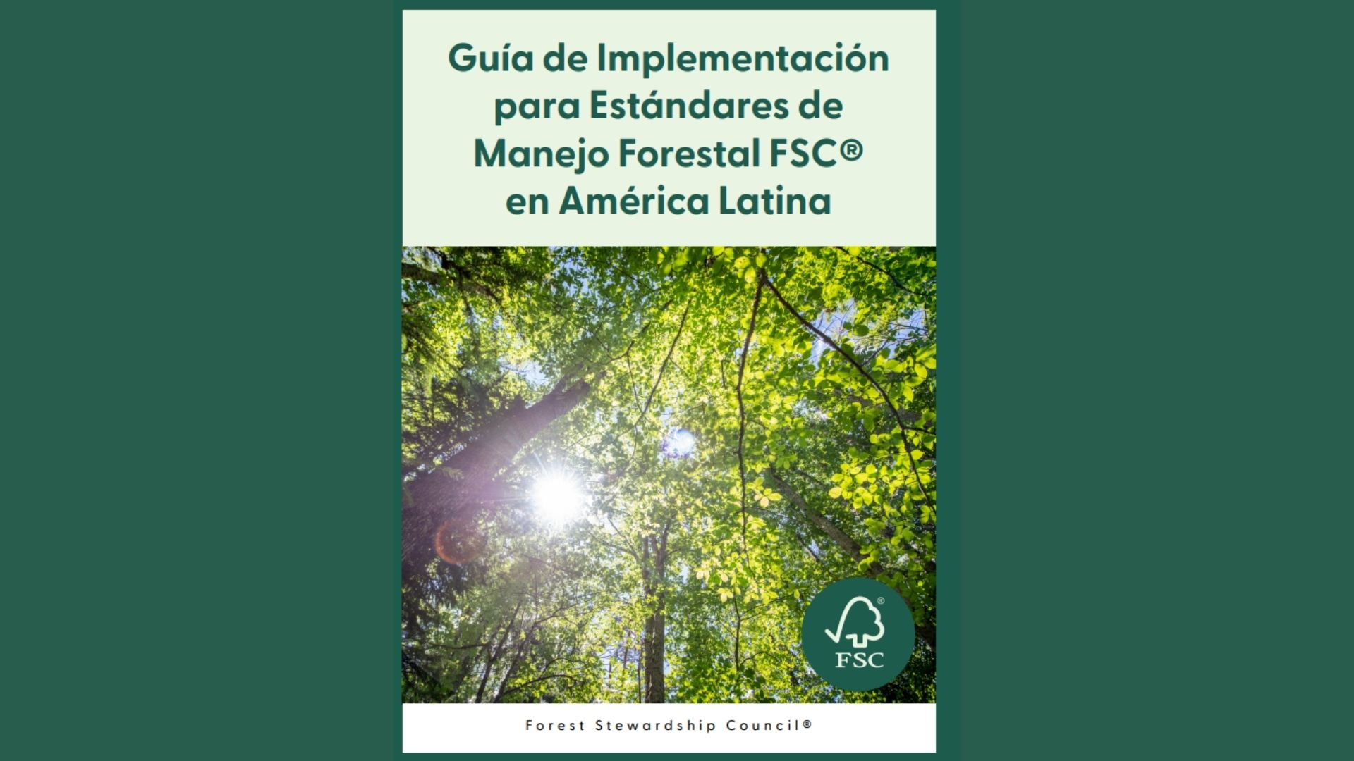 Gu A De Implementaci N Se Encuentra Disponible Forest Stewardship Council